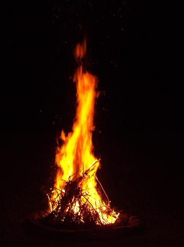 DSC00332